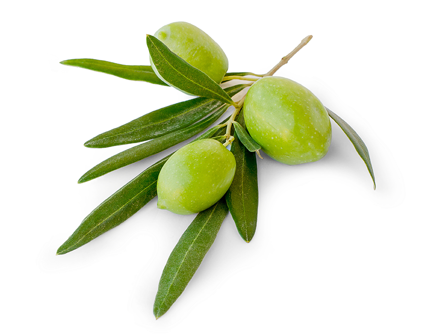 Olives Club Benefits - Green Olives Png (945x720), Png Download