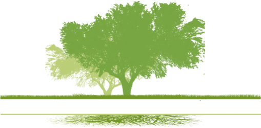 Landscape Logo Transparent (509x250), Png Download