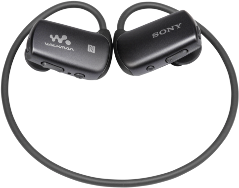 Shipping Charges Are Minimized - Sony Nwz-ws613 Waterproof 4gb Ws Series Sports Mp3 (500x398), Png Download