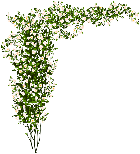 Arrangement, Flowers, Green, Small Flower - White Flower Bush Png (642x720), Png Download