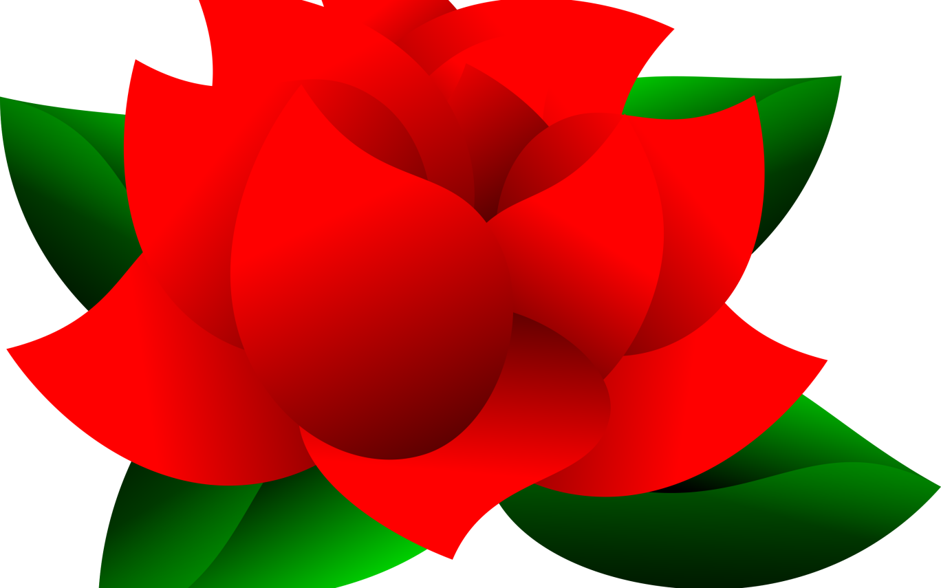 Beautiful Red Rose With Green Leaves Clipart Isolated - Clip Art (1368x855), Png Download