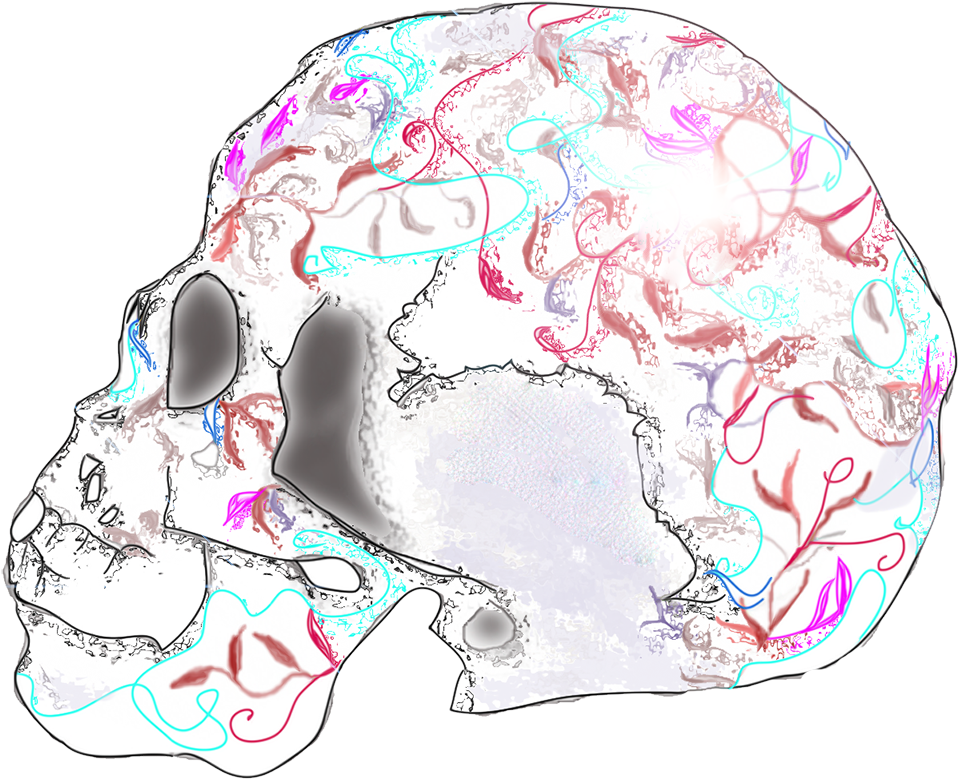 Lens Flare Effect Skull - Illustration (1200x800), Png Download