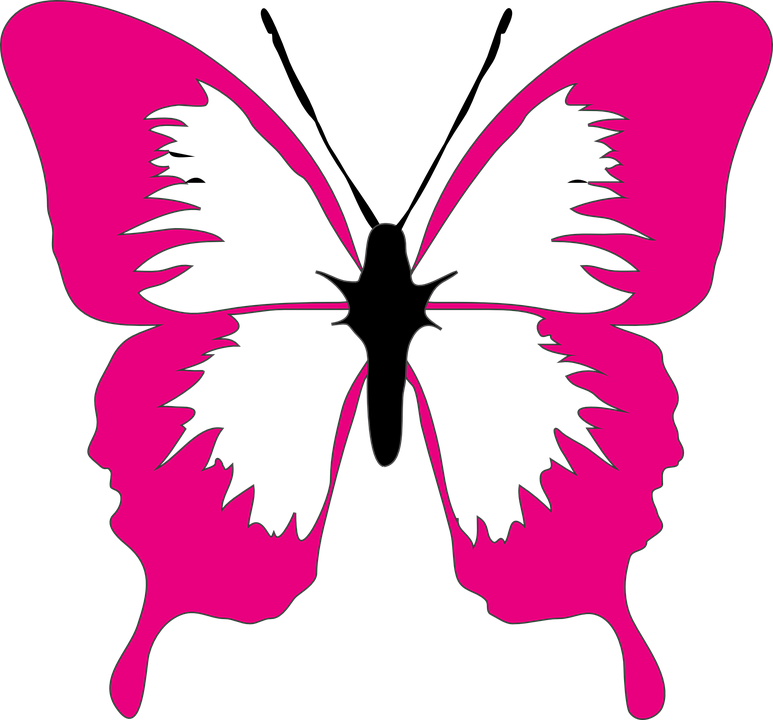 Lime Green Butterfly Clipart 5 By Richard - Butterfly Clip Art Pink (600x559), Png Download