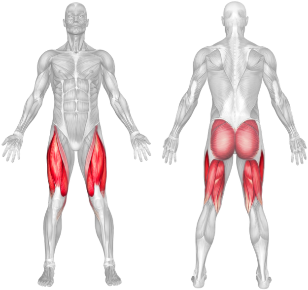 Coach On Maintaining A Good Posture While Doing Squats - Squat Muscles (700x620), Png Download