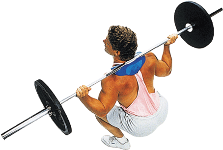 Body Solid Manta-ray - Body Solid Manta Ray Squat Attachment (480x480), Png Download