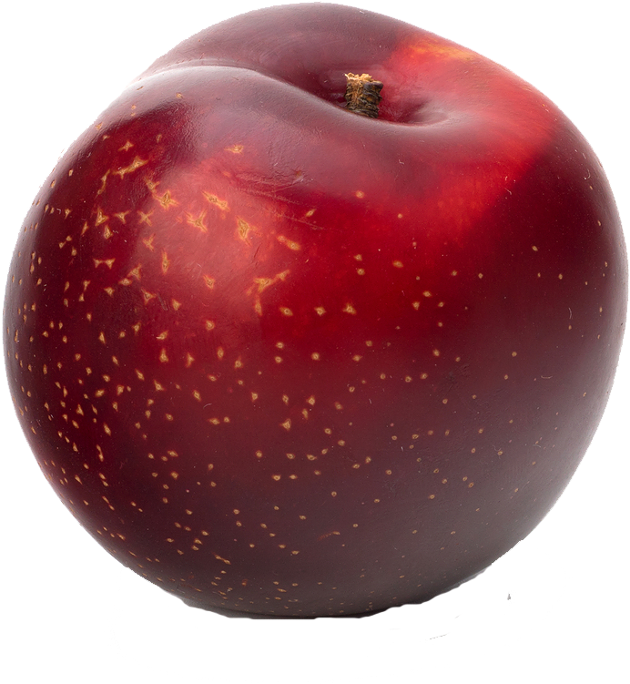 Plum Free Png Image - Plum Fruit (900x900), Png Download