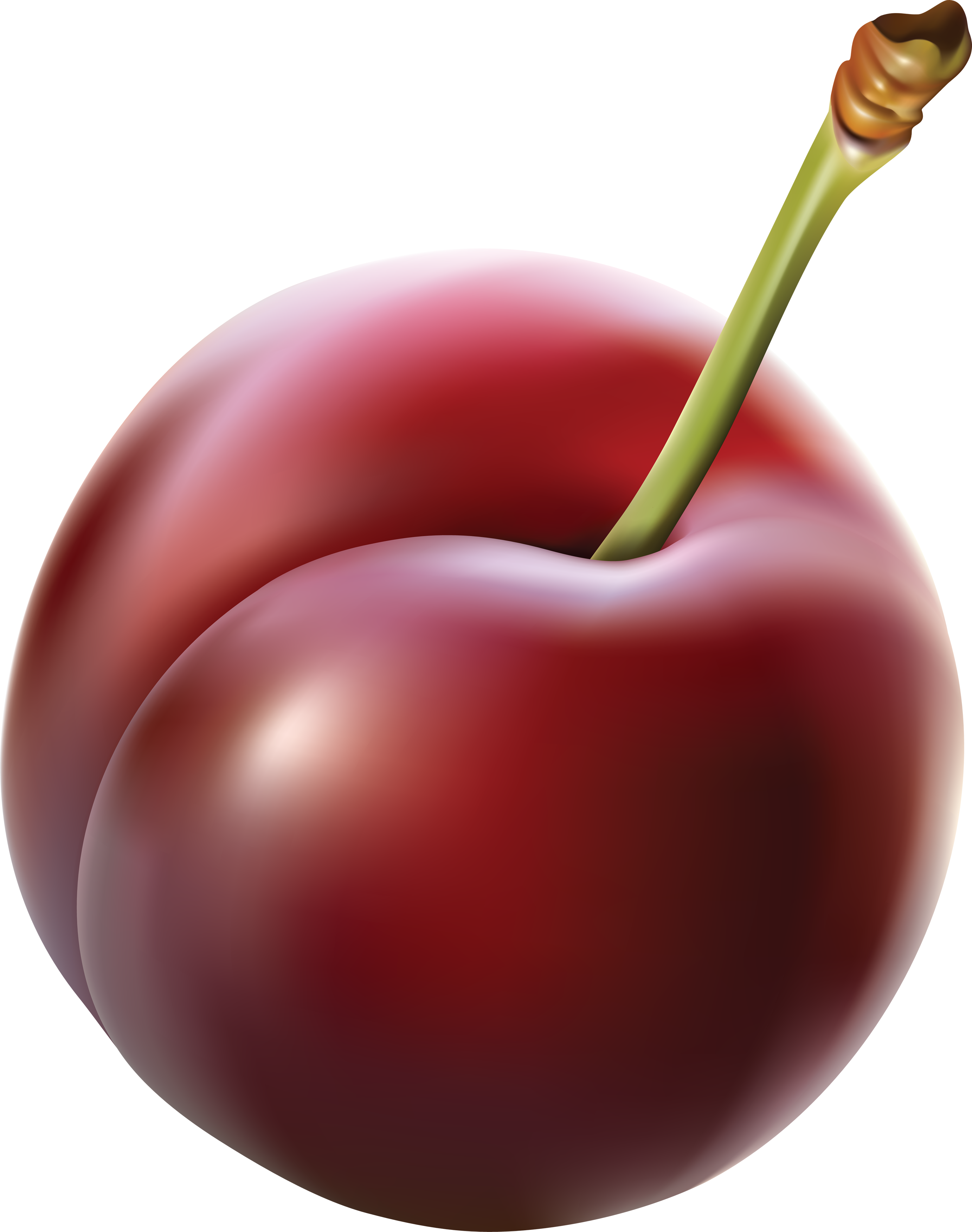 Plum Png (2765x3504), Png Download