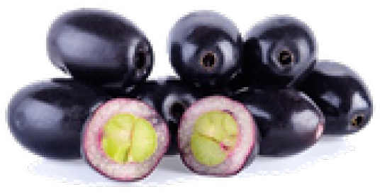 Jambolan Fruits On White Background (640x480), Png Download