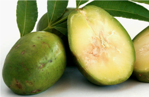 Sale - June Plum Png (600x600), Png Download