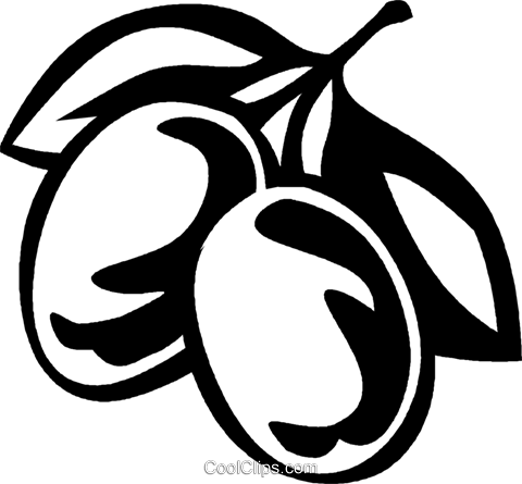 Plums - Plums Clipart Black And White (480x445), Png Download