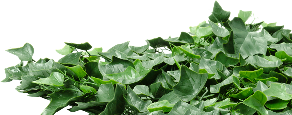 Artificial Ivy Mat - Crop (946x375), Png Download