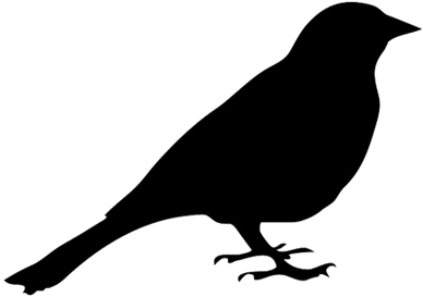 Silueta De Un Pajaro (400x400), Png Download