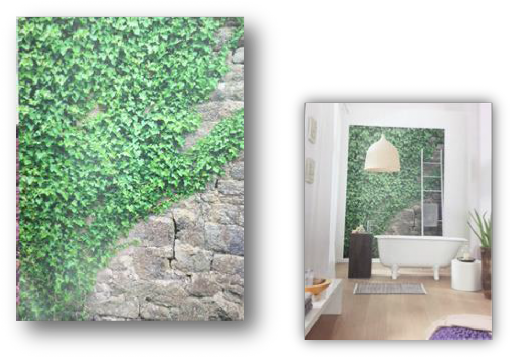 Ivy - Komar 4-324 Apd-324 Ivy Mural (516x363), Png Download