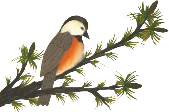 Pajaros Gifs Imagenes - Imagenes Animadas De Pajaros (576x414), Png Download