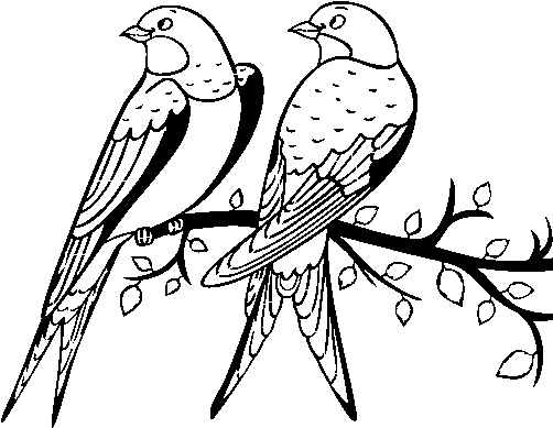 Dibujo De Pareja De Pájaros Para Colorear - Drawing (600x470), Png Download