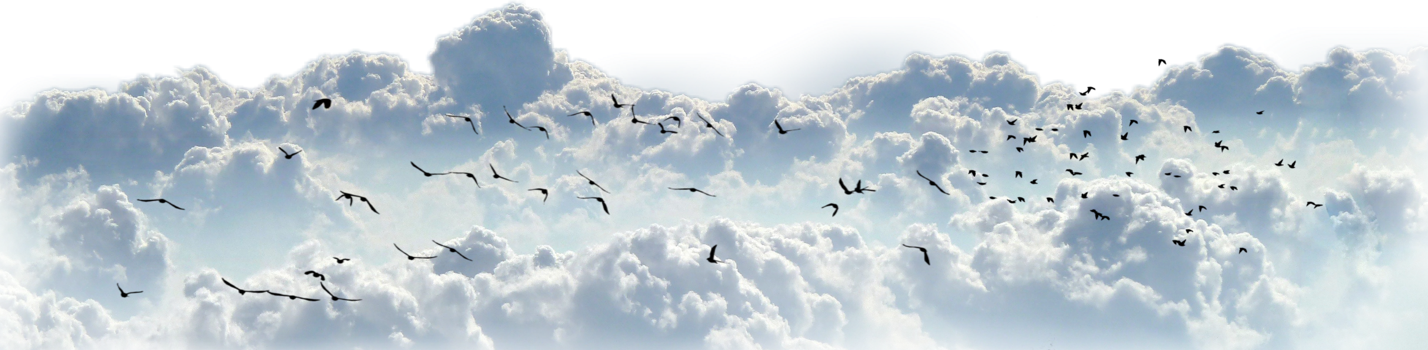 Cloud Of Witnesses: Great Theological Insights (2902x713), Png Download