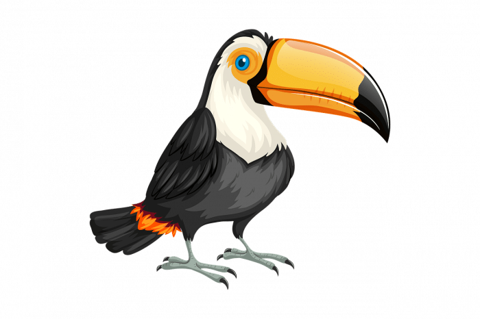 Aves Exoticas - Bandeira Do Brasil Com Um Tucano (700x466), Png Download