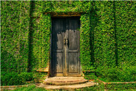 Green - Wall (450x500), Png Download