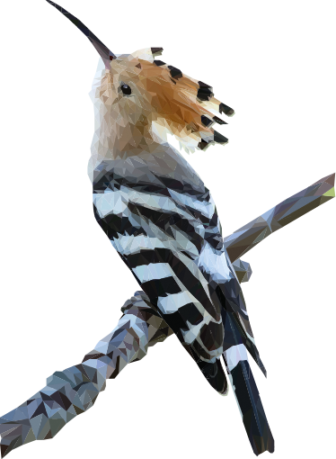 Vinilo Polígonos Pájaro Carpintero - Migratory Birds With Names (374x510), Png Download