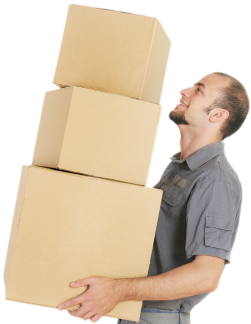 Moving Supply Needs - Guy With Boxes (505x650), Png Download