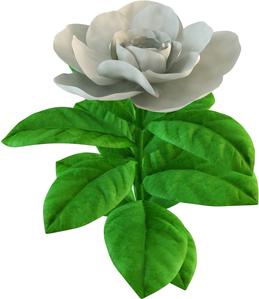 Green Tea (600x600), Png Download