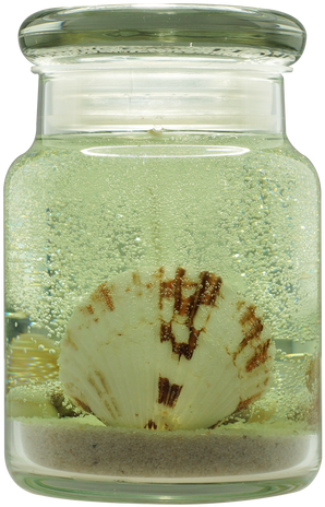 File - Candle (386x483), Png Download