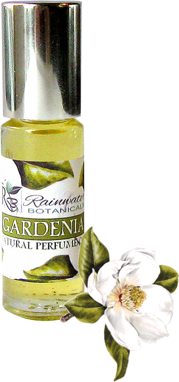 Gardenia Is The Queen Of Tropical Flowers - Frise Chronologique Des Temps Géologiques (463x830), Png Download