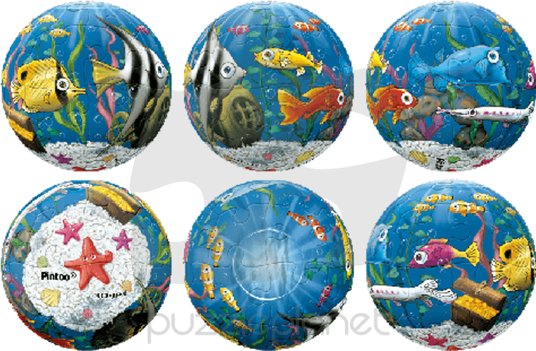 Home / 3d Puzzle / Keychain / Cute Fish Tank - Little Aquarium 60pc Puzzle Sphere (800x800), Png Download
