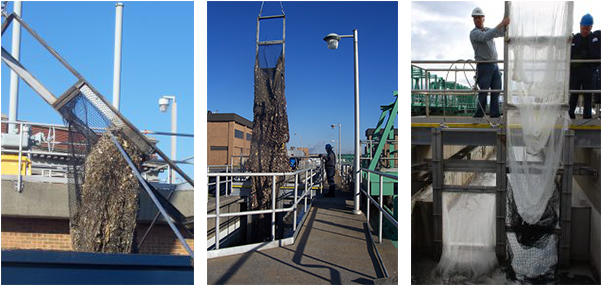 Contact Information - Bailey Bridge (600x600), Png Download