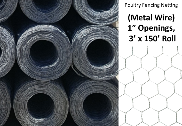 Image - King City (757x523), Png Download