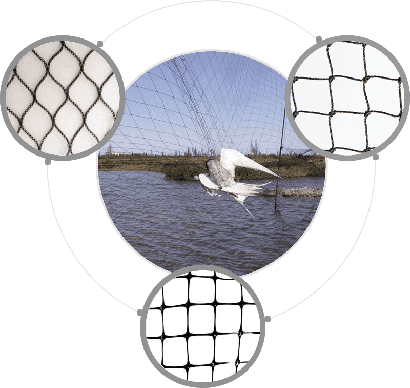 Lake Bird Netting - Nutley's Bird Netting 5m X 4m* Heavy-duty Woven Garden (800x756), Png Download