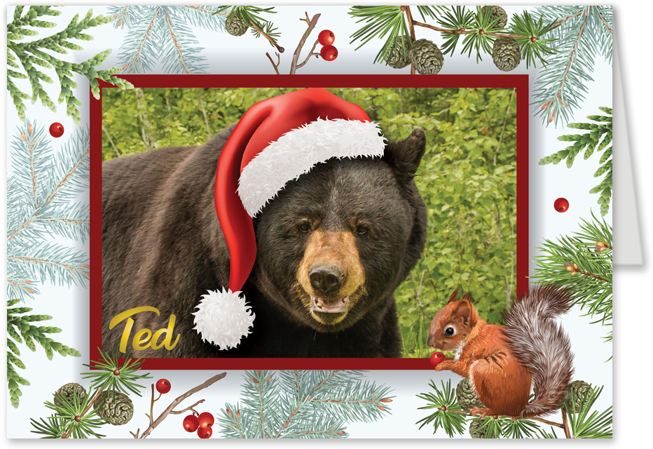Santa Ted Christmas Cards - Picture Frame (1006x717), Png Download