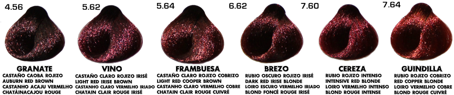 Gama De Colores De Tintes - Colores De Tintes Rojizos (937x199), Png Download