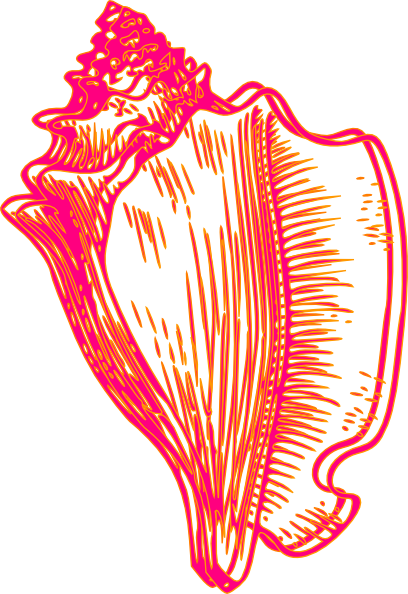 Pink Yellow Conch Shell 2 Clip Art - Conch Png Cartoon (408x594), Png Download