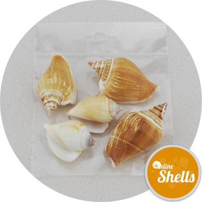 Art & Craft Pack - Art (395x395), Png Download