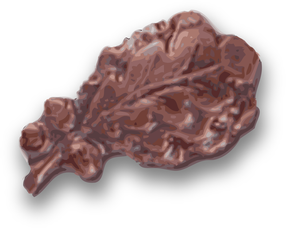 File - Bronze Oakleaf-3d - Svg - Oak Leaf Cluster Rank (1277x1024), Png Download