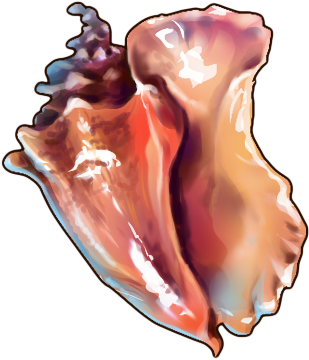 Conch - Thumb (400x400), Png Download
