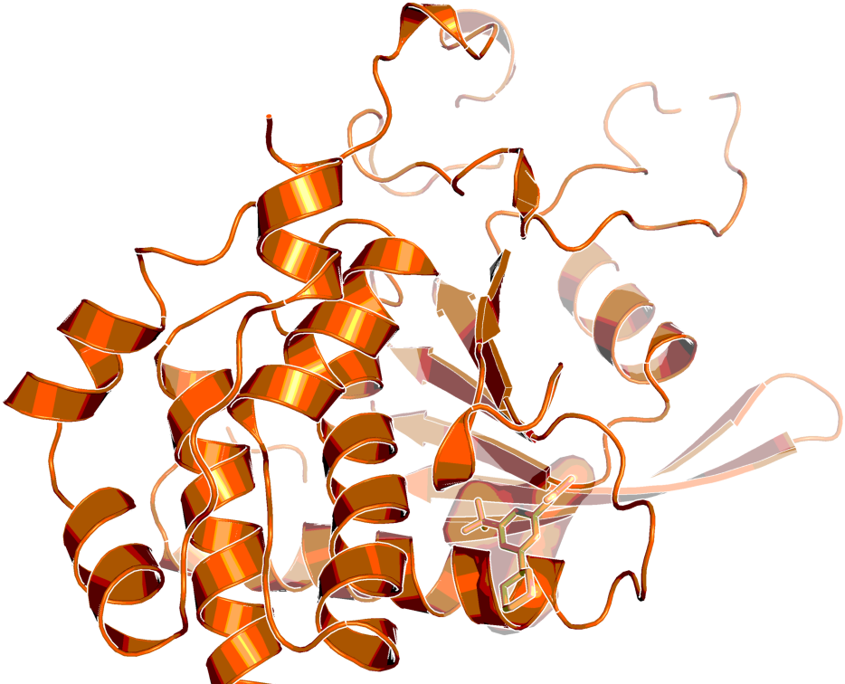 Step Structure And Allosteric Binding Site With Bound - Ligand (1024x768), Png Download