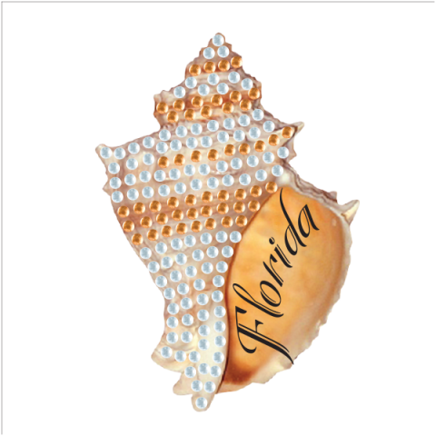 Conch Shell - Conch (480x480), Png Download