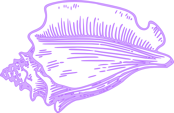 Small - Conch Clipart (600x391), Png Download