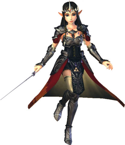 Hyrule Warriors Princess Zelda Standard Outfit - Dark Zelda Hyrule Warriors (480x480), Png Download