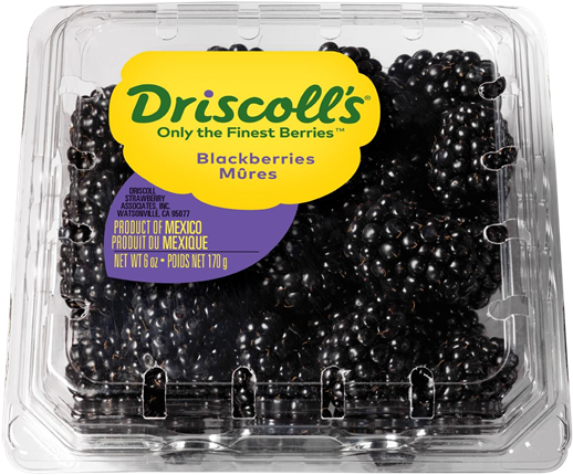Driscoll's Blackberries (600x498), Png Download