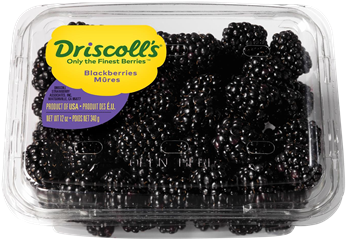 Driscoll Blackberries - Driscoll's Blueberries (australia/ Usa) (400x600), Png Download