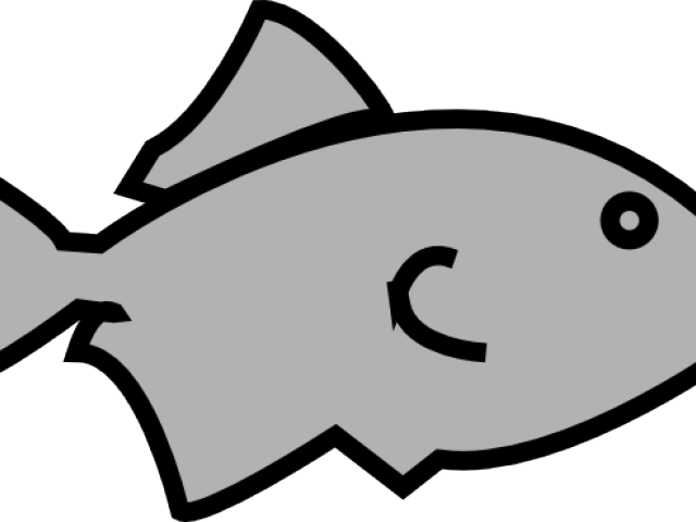 Original - Fish Outline Png (640x480), Png Download