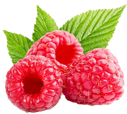 Raspberries - Wordpress Food Templates 2017 (550x450), Png Download