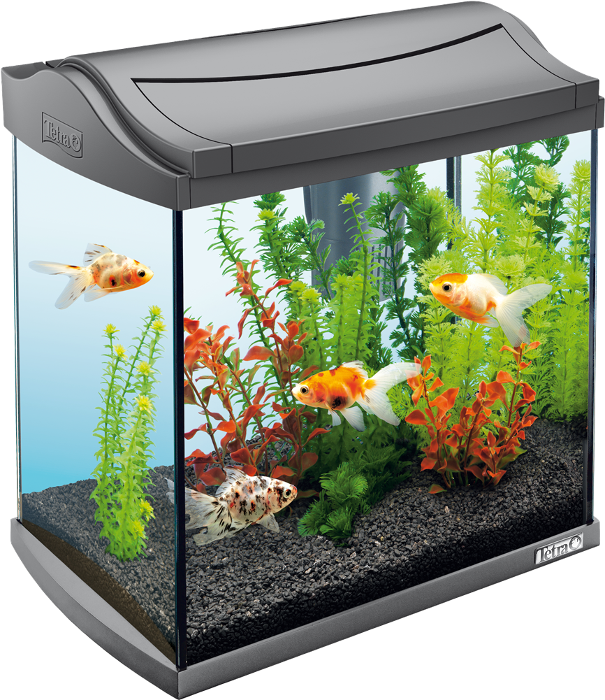 30 Litre Fish Tank (1000x1000), Png Download