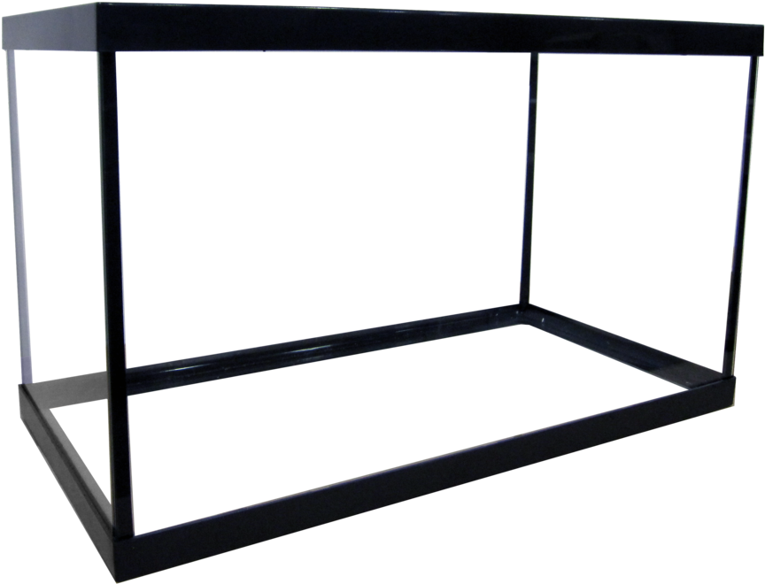 5 Regular Aquarium - Aquarium (1000x761), Png Download