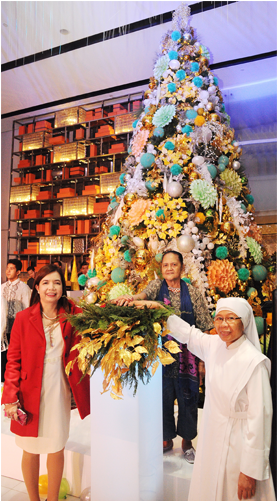 Midas Christmas Tree Lighting - Hotel (800x500), Png Download