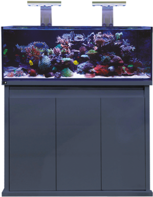 Dd Reef Pro 1200 (400x400), Png Download