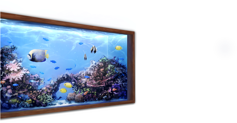 Aquarium - Aquarium Lighting (1136x640), Png Download